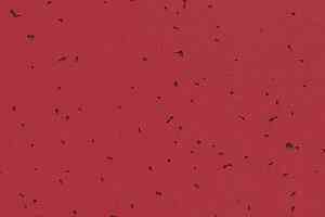 Линолеум Forbo Sphera Energetic 50228 burgundy фото  | FLOORDEALER